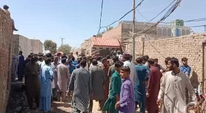 WhatsApp Image 2025-03-21 at 15.19.20_c4d8bac8