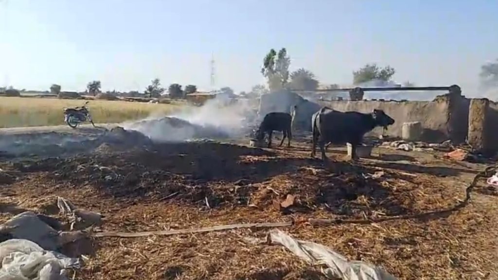 WhatsApp Image 2025-03-21 at 18.49.32_d26d735e