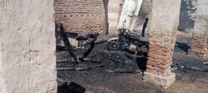 WhatsApp Image 2025-03-22 at 15.40.47_437e384d