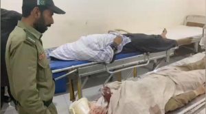 WhatsApp Image 2025-03-24 at 23.38.59_8a76cebc