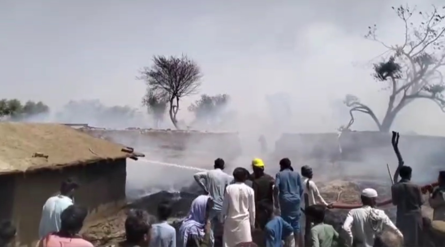 WhatsApp Image 2025-03-28 at 11.59.41_af764f09