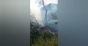 WhatsApp Image 2025-03-28 at 17.11.10_f7ae1cd5