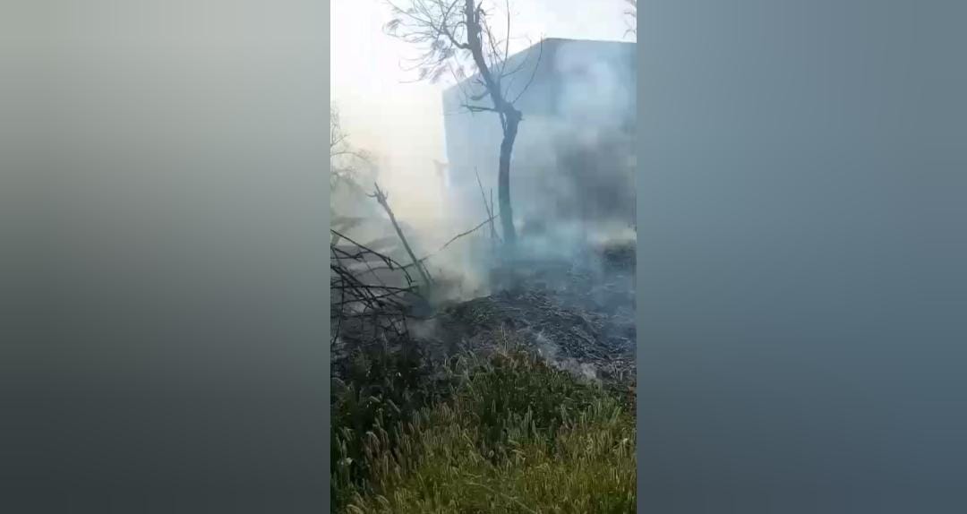 WhatsApp Image 2025-03-28 at 17.11.10_f7ae1cd5