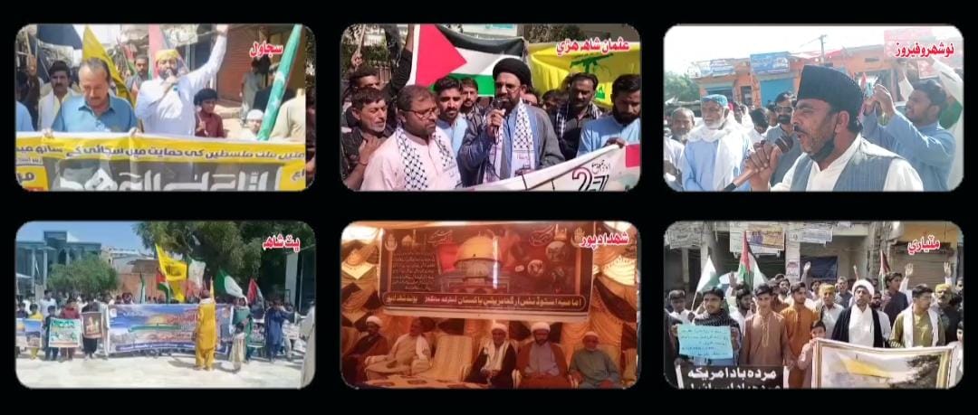 WhatsApp Image 2025-03-28 at 17.52.47_0b0c1b62