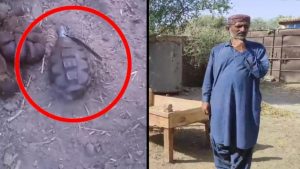 WhatsApp Image 2025-03-28 at 18.17.38_a9497d39