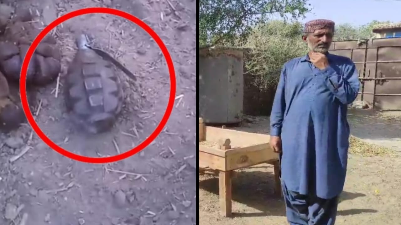 WhatsApp Image 2025-03-28 at 18.17.38_a9497d39