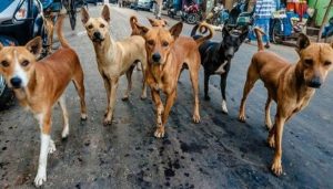 401177_2647219_updates