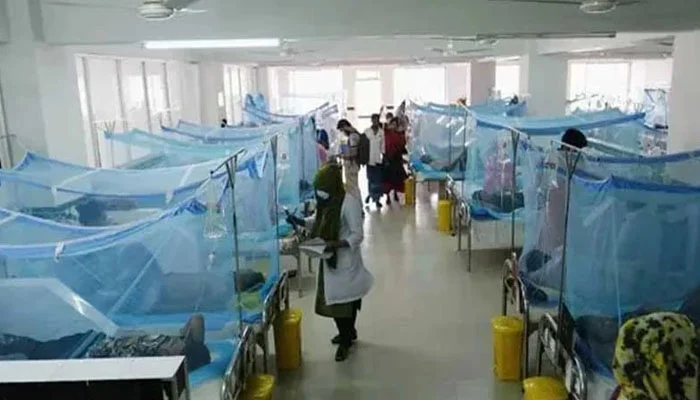 401178_8011252_updates