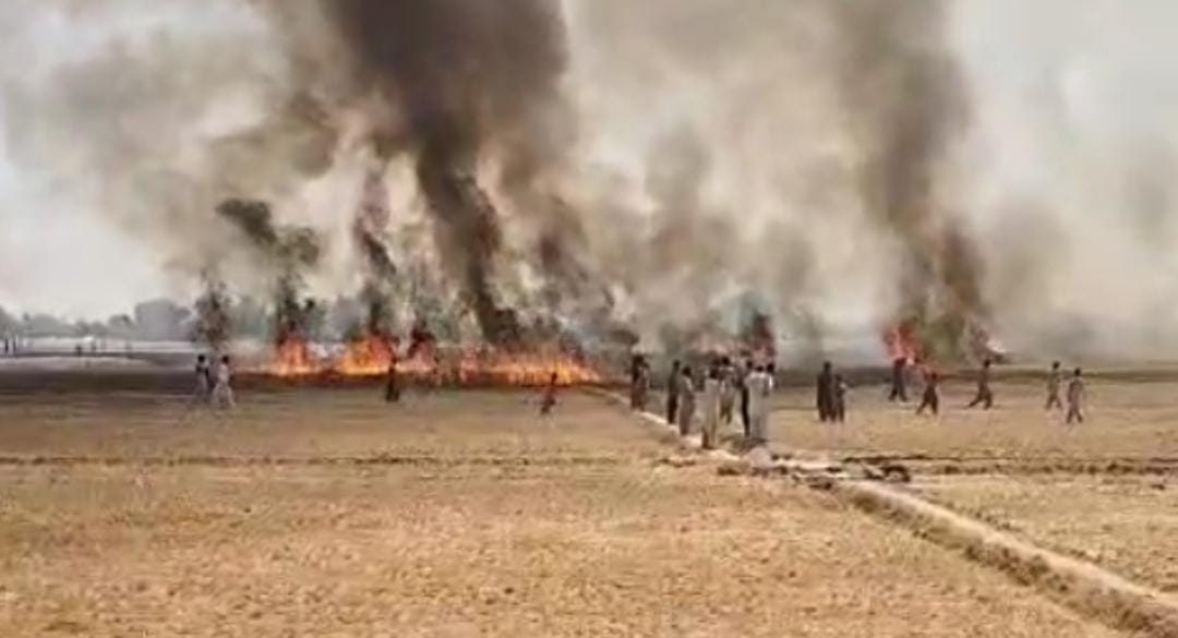 WhatsApp Image 2025-04-07 at 12.33.52_e6e133fa