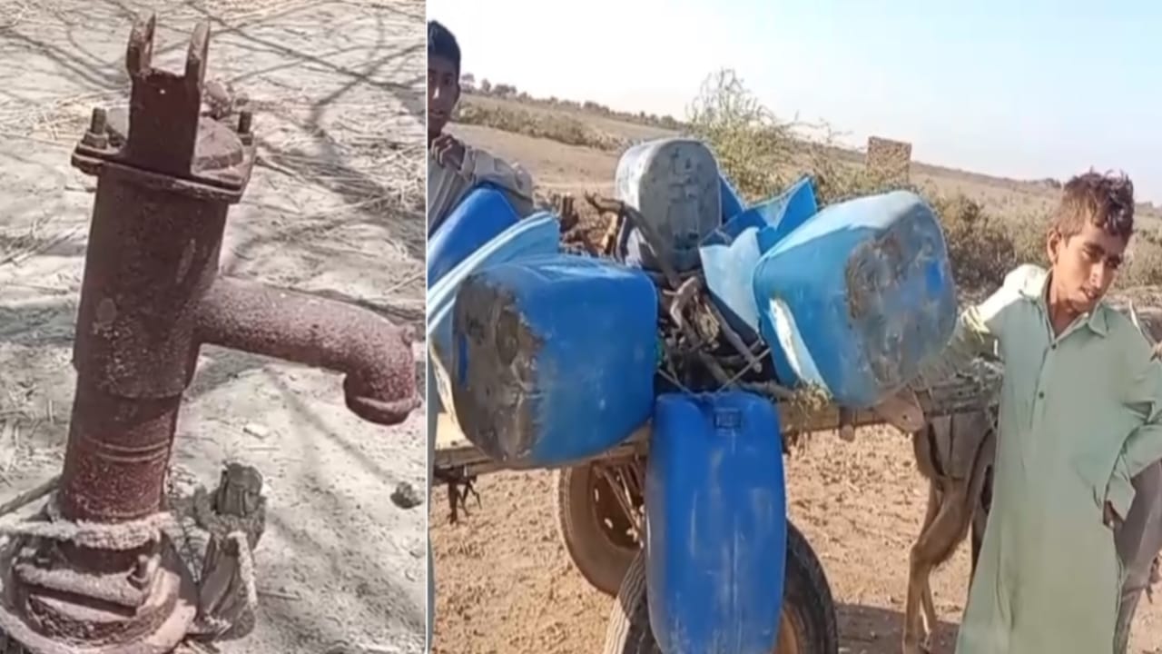 WhatsApp Image 2025-04-14 at 14.29.55_78f6616a