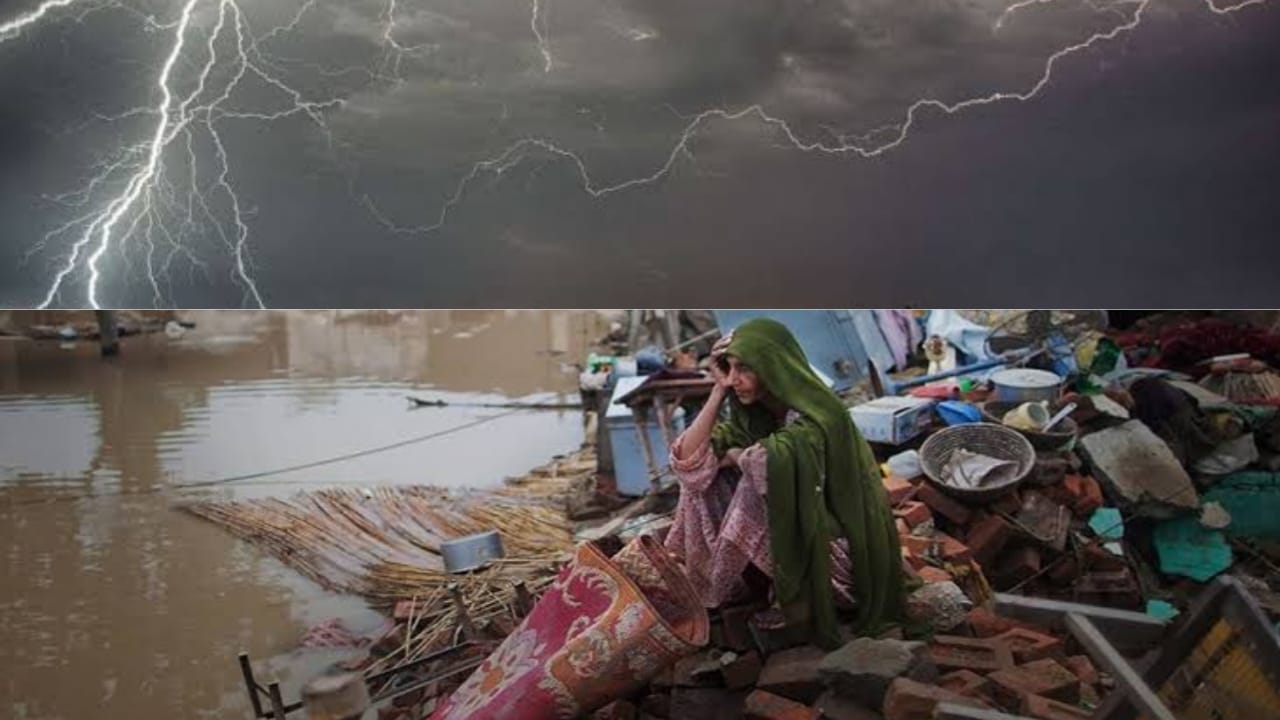 WhatsApp Image 2025-05-31 at 16.35.31_995e3f30