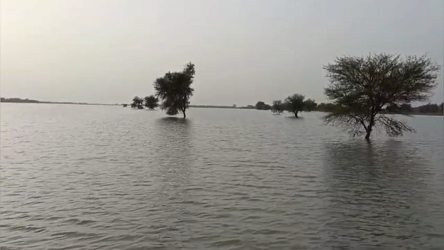 Screenshot 2025-07-29 16-21-49