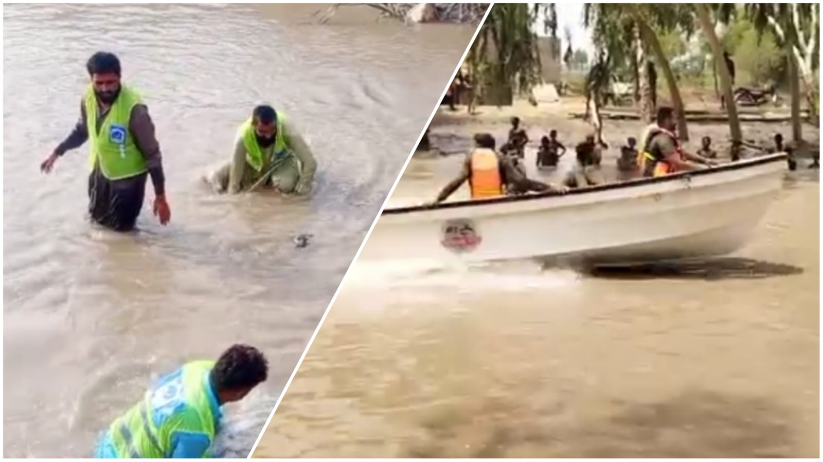 WhatsApp Image 2025-07-28 at 11.22.28_b4fb3a28