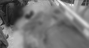 WhatsApp Image 2025-07-30 at 11.57.11_03e79500