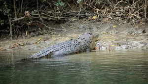 411989_7399350_updates