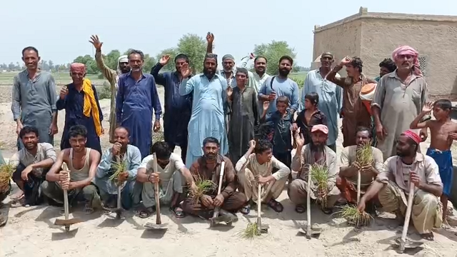 Screenshot 2025-08-01 13-41-03