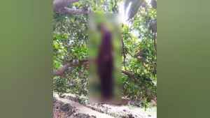 Screenshot 2025-08-02 16-43-15