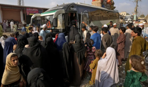 Annotation 2025-10-14 165950