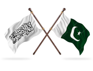 Annotation 2025-10-15 182336